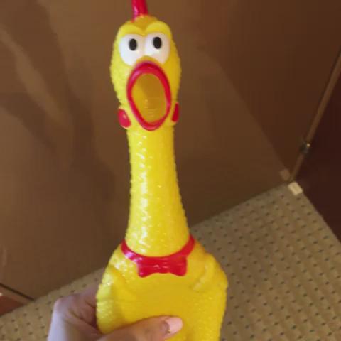今日はパシフィコ横浜で歌うよ!これ撮ったら隣でへごが笑ってた(๑′ᴗ‵๑)w by西 #洲崎西 #SLF2015 今日はパシフィコ横浜で歌うよ!これ撮ったら隣でへごが笑ってた(๑′ᴗ‵๑)w by西 #洲崎西 #SLF2015