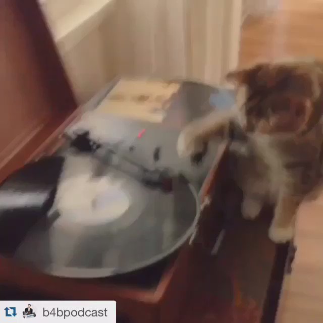 Everyone follow @B4BPodcast and listen to some new scratches from DJ -LillyPants. Turn volume waaaay up !!! https://t.co/BiNkYsXWMH
