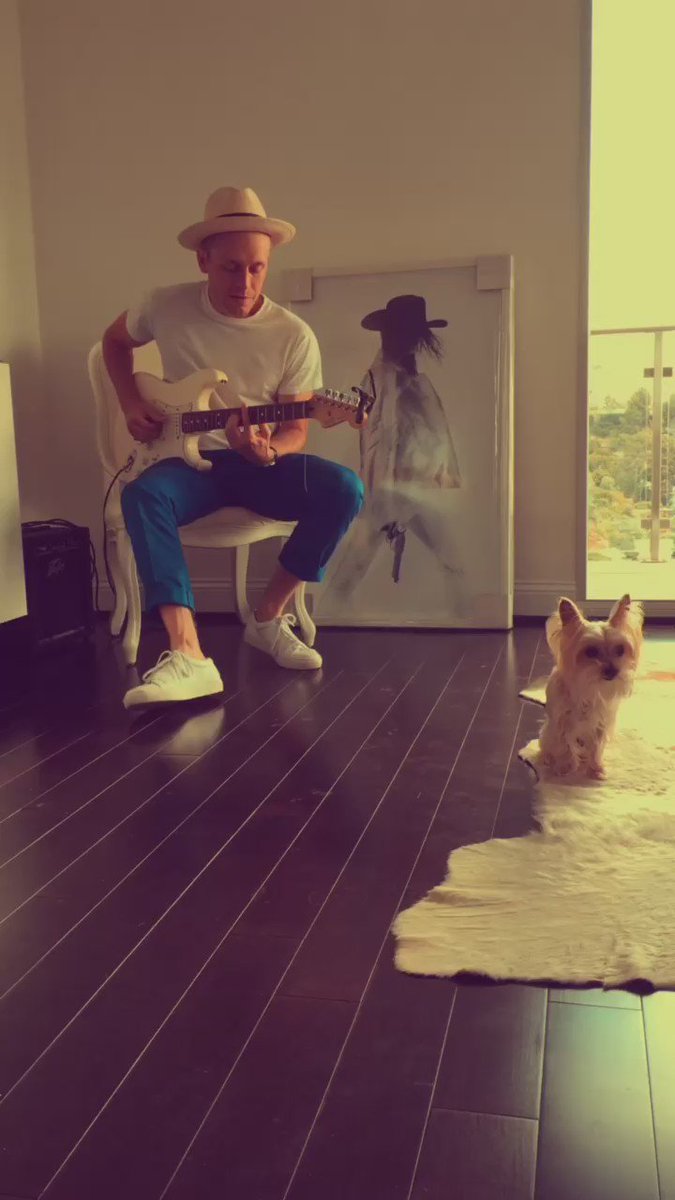 RT @TysonSullivan: That awkward moment when: @MrHudson serenades your puppy and she doesn't know how to play it cool. https://t.co/odsoZYFN…