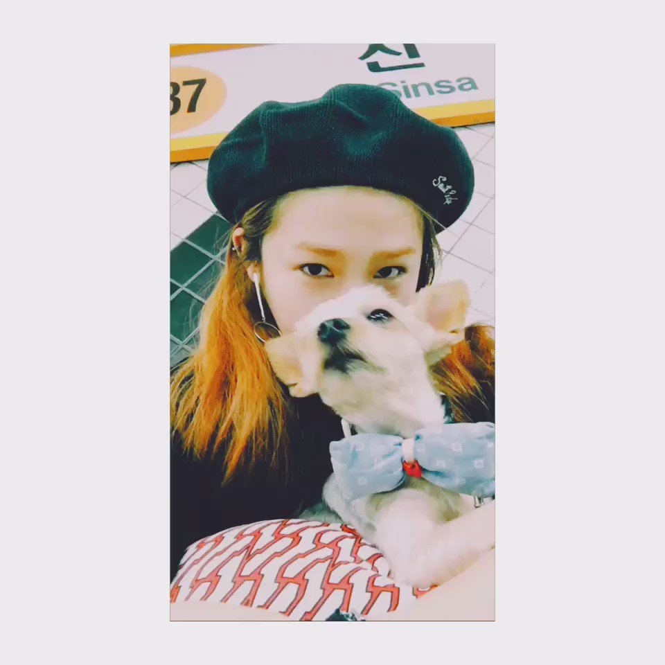 하니 EXID 생각을 바로 오빠 하지 자주 많은 사람 HANI 일을 일찍 RarmG