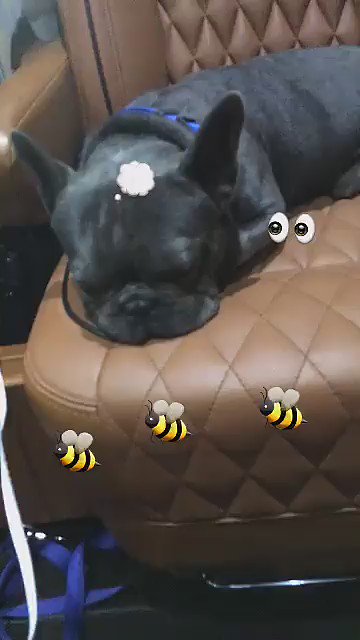 wake n bake. ???? https://t.co/WxWBZTRcCV