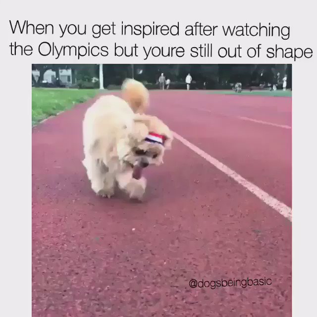 Haha! I'm with ya, @MarnieTheDog! #Olympics #Rio2016 https://t.co/l6sb3J8UQU