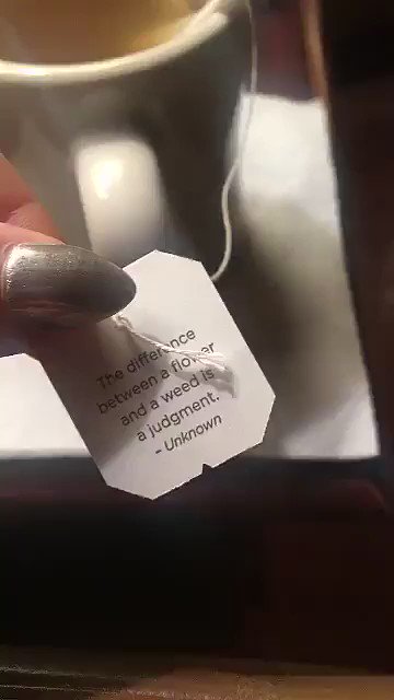 When the tea bag drops some WISDOM on yo ass https://t.co/Irb1MCXnkY