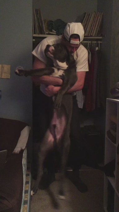 RT @sackjipes: wow pitbulls are so vicious!!!!#montreal https://t.co/IWIUH6UDng