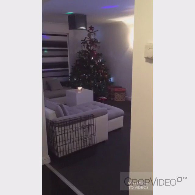 Our mannequin challenge!!!! https://t.co/fCvl2aMQvZ
