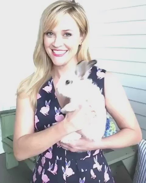 Hello every bunny! ???????? #CanIKeepHim #ILoveMyJob #HisNameIsTurbo @draperjames https://t.co/F0dSfuNb3R