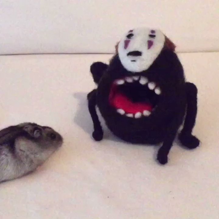 ハムムのときにちょっとキツそうだったので、少しだけ手で広げてみました。それがよかったのか、ココちゃんはカオナシに食べられ ハムムのときにちょっとキツそうだったので、少しだけ手で広げてみました。それがよかったのか、ココちゃんはカオナシに食べられ