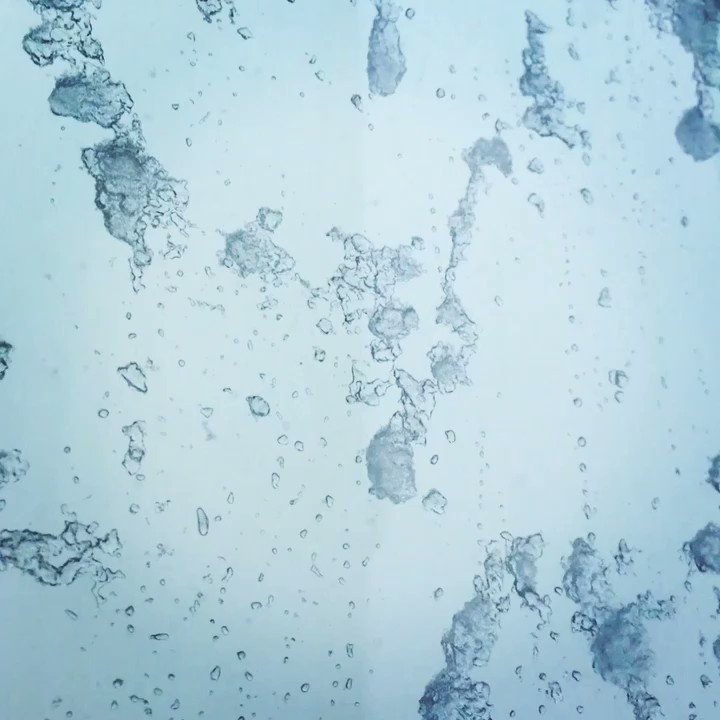 So this is happening.... #snowday https://t.co/ZBFMFL58EW