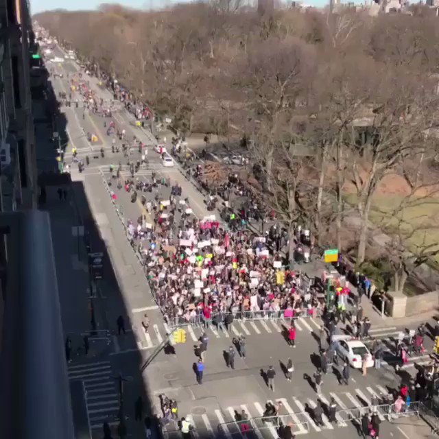 Because life is a Parade!.............????????????????????????????????????????????????????God Bless America! https://t.co/3Ku64HmFrw