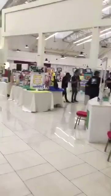 آنيقه