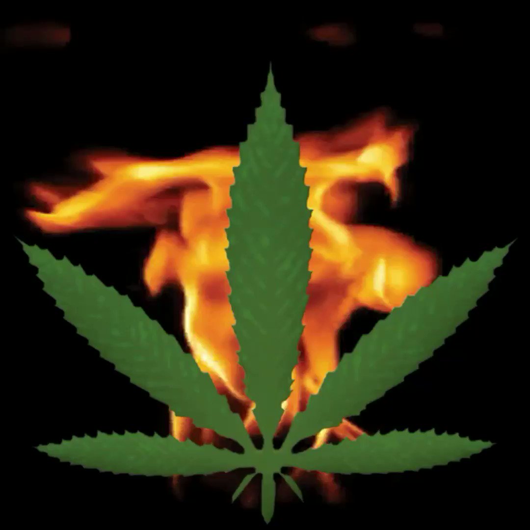 4:20 merch available on https://t.co/eiJ3Tfu6zn https://t.co/Q0rfOY4VEM