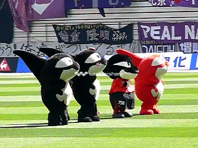 部屋の掃除してたら見つけたよ(^^♪ 2008年3月8日名古屋VS京都@豊スタ 試合前の師匠ファミリーのダンス「おしりか 部屋の掃除してたら見つけたよ(^^♪ 2008年3月8日名古屋VS京都@豊スタ 試合前の師匠ファミリーのダンス「おしりか
