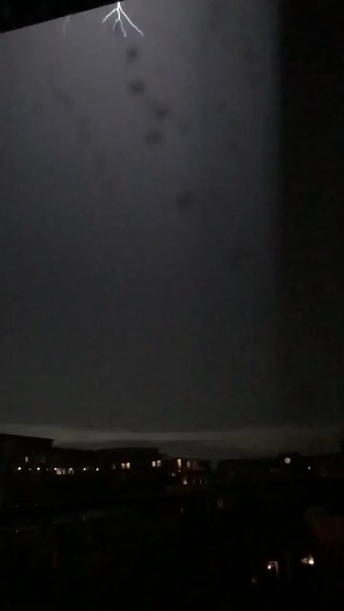 MDVAsnakehead photo