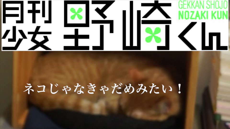 「君じゃなきゃダメみたい/オーイシマサヨシ」 をネコと一緒に、ベースで楽しく弾いてみた!【ネコじゃなきゃダメみたい】#月 「君じゃなきゃダメみたい/オーイシマサヨシ」 をネコと一緒に、ベースで楽しく弾いてみた!【ネコじゃなきゃダメみたい】#月