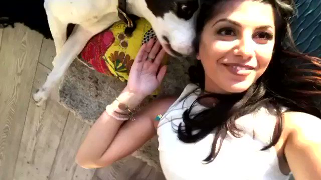 RT @brunanessif: You're right. Pitbulls are a dangerous breed.
😏 https://t.co/eKmjuyfWX5