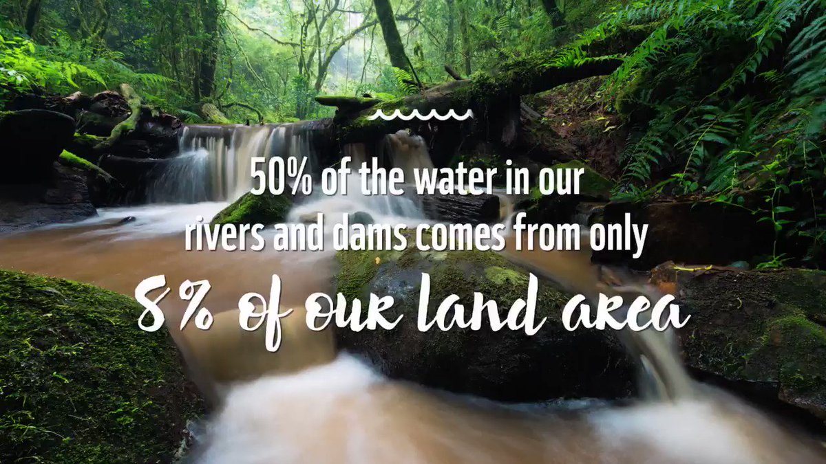 save our river Foxton save our river trust 834 likes 1 talking about this foxton's save our river trust is dedicated to restoring the foxton loop of the manawatu. save our river Foxton save our river trust 834 likes 1 talking about this foxton's save our river trust is dedicated to restoring the foxton loop of the manawatu.
