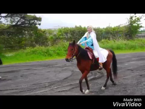 【馬ロケ動画/アルスラーン戦記】#馬ロケ #ロッキー乗馬クラブ 【馬ロケ動画/アルスラーン戦記】#馬ロケ #ロッキー乗馬クラブ
