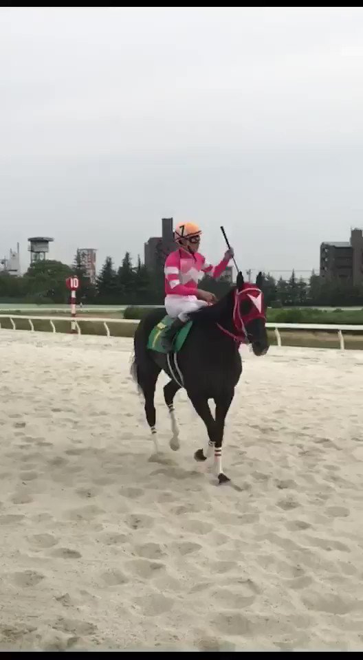 【名古屋 10R】クロスアンジュは2着でした。 【名古屋 10R】クロスアンジュは2着でした。