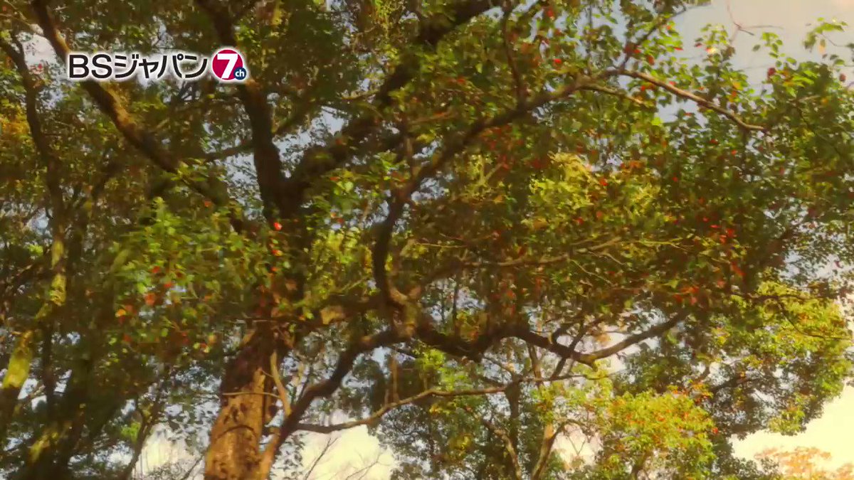 本日6/23(金)23:30からBSジャパンにて放送される『ワカコ酒 Season3』 第12夜「特別な旨さ、和牛たたき 本日6/23(金)23:30からBSジャパンにて放送される『ワカコ酒 Season3』 第12夜「特別な旨さ、和牛たたき