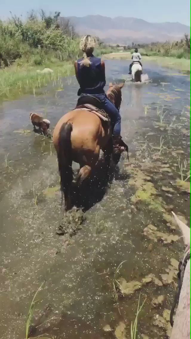 Sunday funday ???? https://t.co/jskJgJaRvW