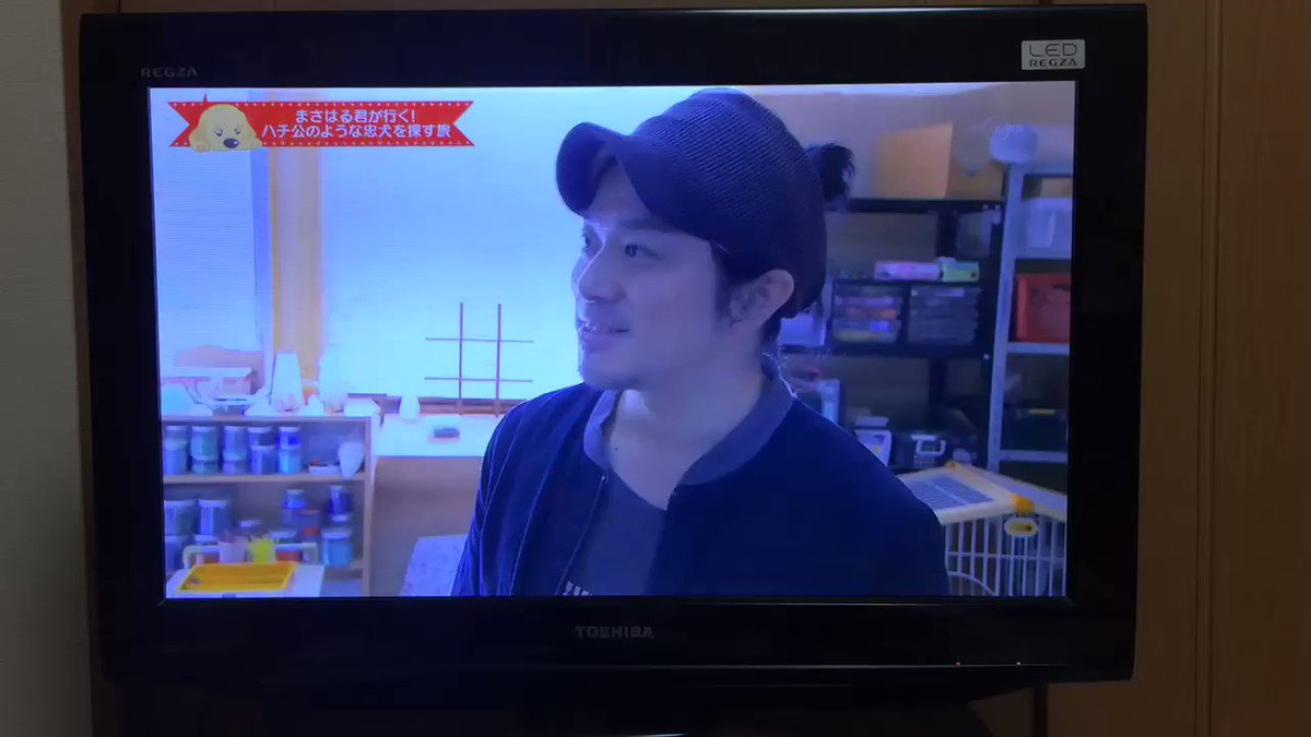 ポチたまのムーコ出演シーンに間に合ったよ! #ポチたま #ムーコ ポチたまのムーコ出演シーンに間に合ったよ! #ポチたま #ムーコ