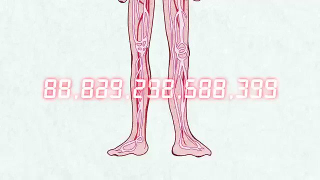 着眼点がセンスありすぎて絵が好きすぎるアニメきた!#はたらく細胞あとセンスありすぎるEDやった血界戦線も戻ってくるね!# 着眼点がセンスありすぎて絵が好きすぎるアニメきた!#はたらく細胞あとセンスありすぎるEDやった血界戦線も戻ってくるね!#