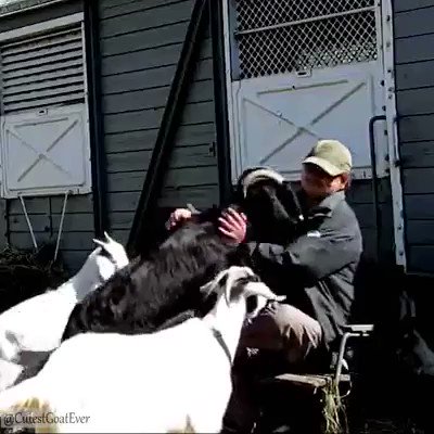 RT @talalona: A companionate world begins with you. #love #animalsarejustlikeus https://t.co/AGA1Fr5IOK