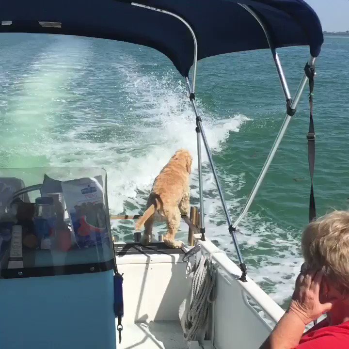 RT @reIatabIe: The best thing I've seen today https://t.co/MRBPPYUV9J