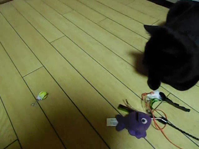 ばなにゃで遊ぼう☆ちびバージョンその1雪がちょっかい出してますw#猫動画 #猫好きさんと繋がりたい ばなにゃで遊ぼう☆ちびバージョンその1雪がちょっかい出してますw#猫動画 #猫好きさんと繋がりたい