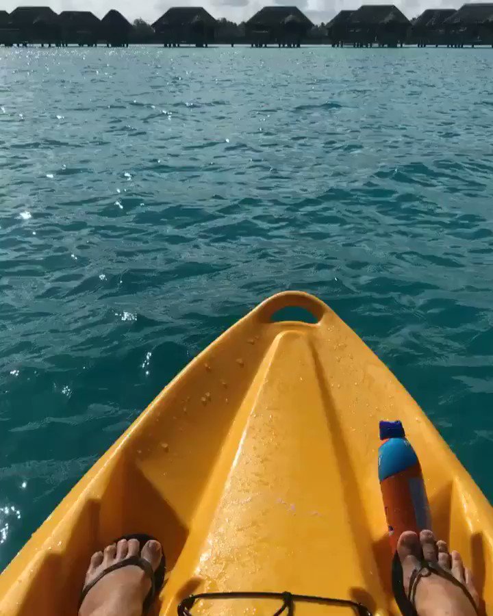 My stupid face when I think it's a pic. But it's really a video. https://t.co/w3jZwCEHtO