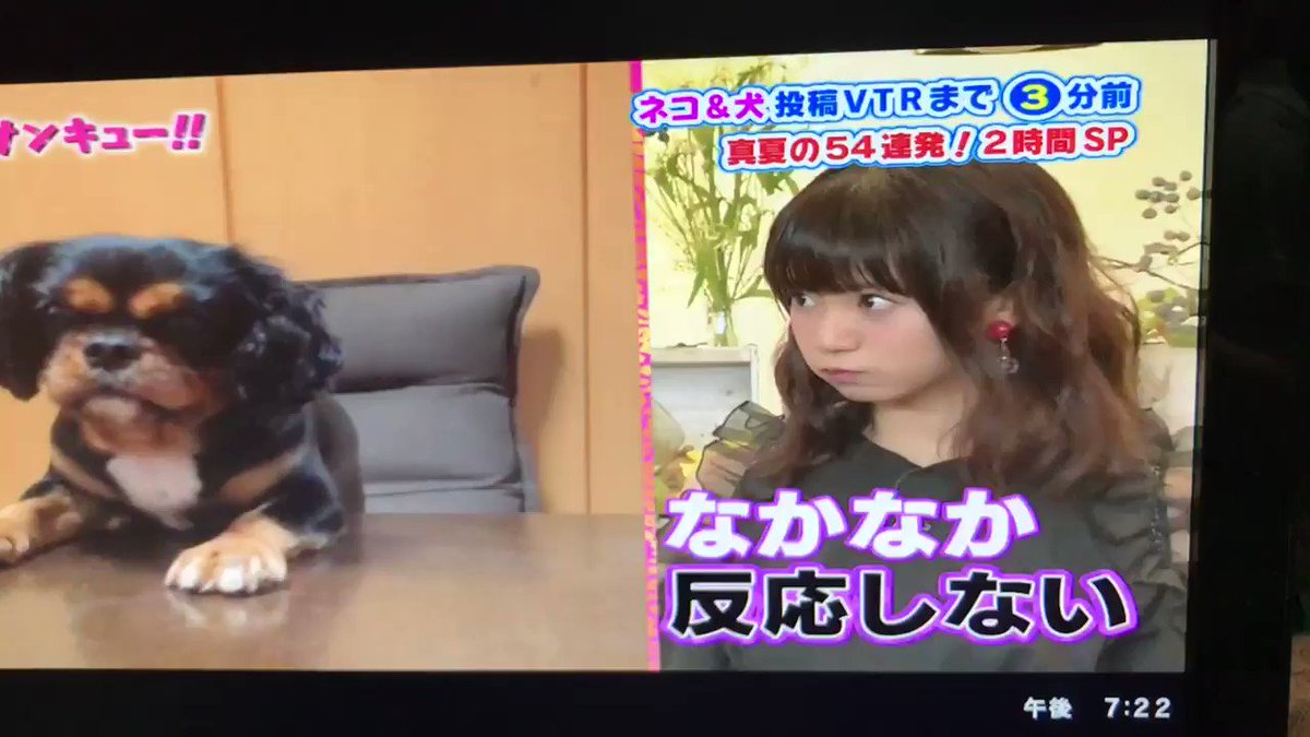 この美怜ちゃん口かわいすぎる この美怜ちゃん口かわいすぎる