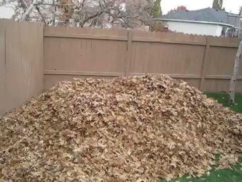 How every hard-working, tax-paying American citizen felt the morning of November 9, 2016... https://t.co/HM253ojQps