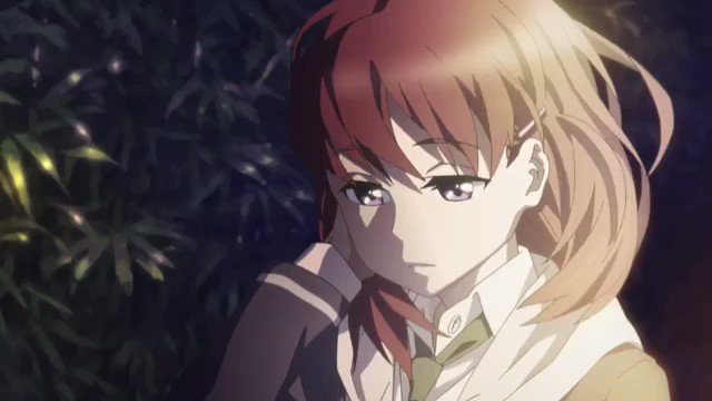 【速報】オリジナルアニメ『Just Because!』予告3動画が公開原作 鴨志田一(さくら荘などの原作者)✕比村奇石( 【速報】オリジナルアニメ『Just Because!』予告3動画が公開原作 鴨志田一(さくら荘などの原作者)✕比村奇石(