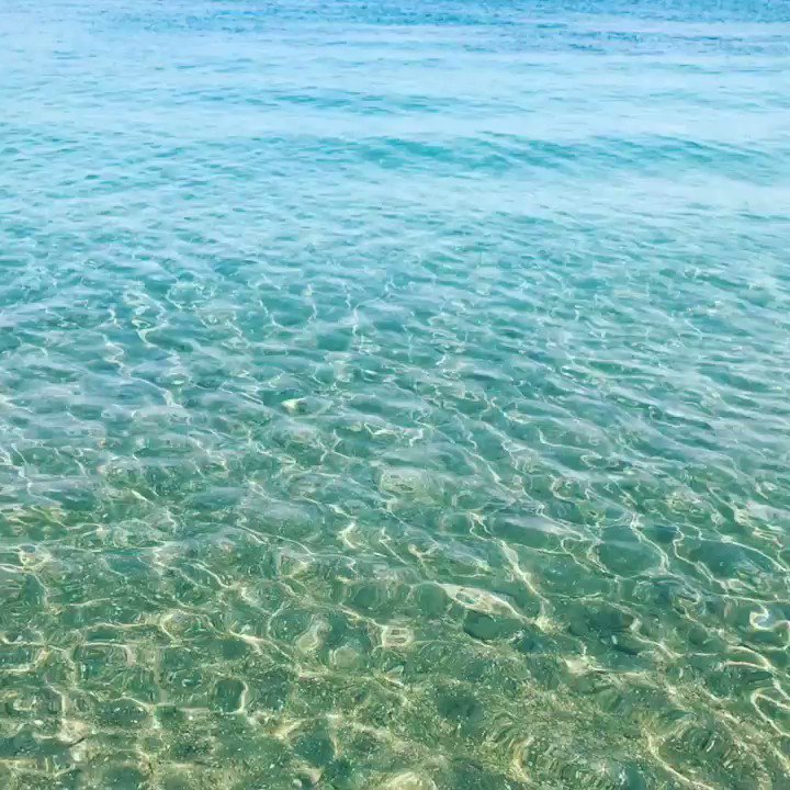 Dreamy Morning by the Sea ???? https://t.co/mothBYQrfF