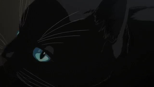四月は君の嘘のOPは曲と映像が神だと思うw 共感してくれる人いるかなw 四月は君の嘘のOPは曲と映像が神だと思うw 共感してくれる人いるかなw