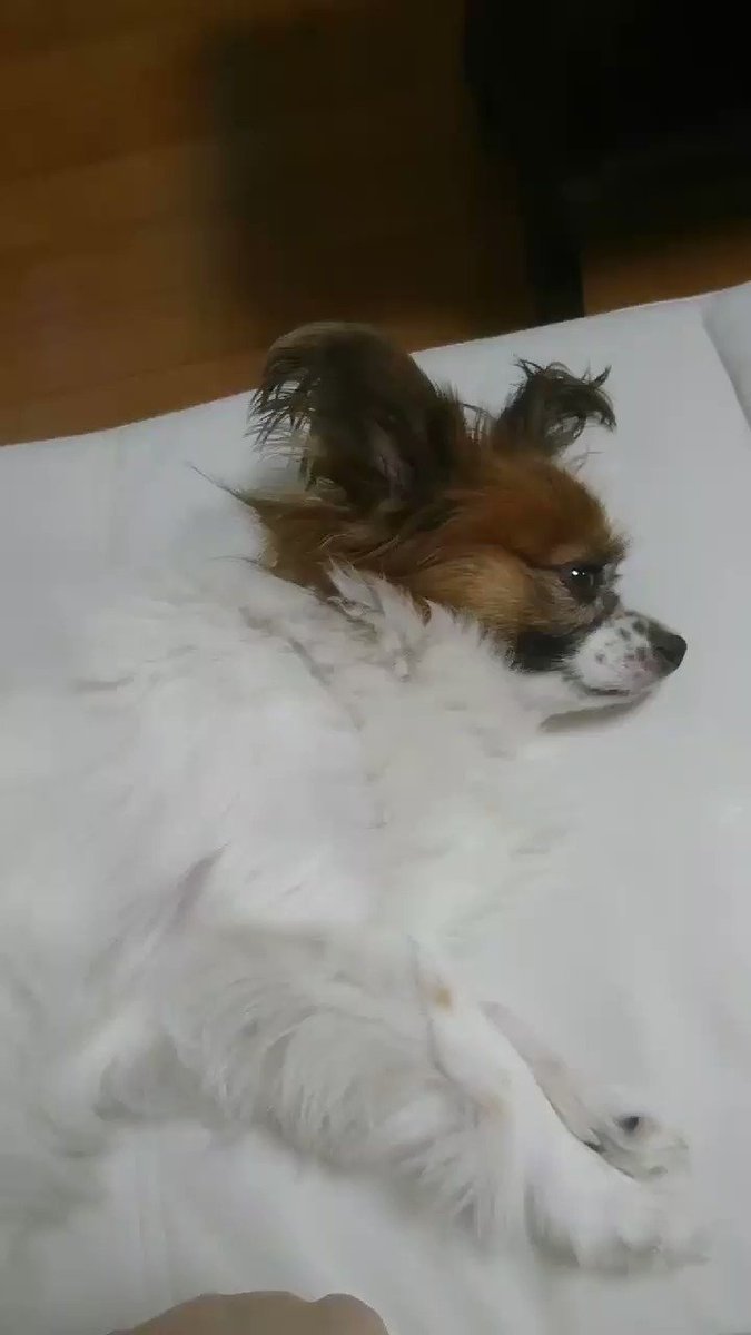 ただいま〜寒い:;((ɔ°ө°c));:めちゃ²濡れた☔😨風が強くて傘は危ない⚠今日の夕飯は🍢おでんくん🍢で決まりだね! ただいま〜寒い:;((ɔ°ө°c));:めちゃ²濡れた☔😨風が強くて傘は危ない⚠今日の夕飯は🍢おでんくん🍢で決まりだね!