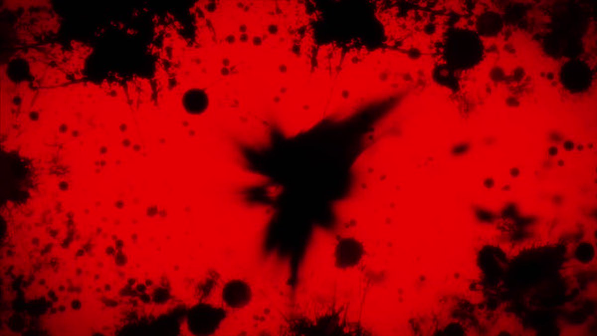 第4話「人狼大作戦(チェイン:ポッシブル)」予告を公開しました!! #kekkai_anime 第4話「人狼大作戦(チェイン:ポッシブル)」予告を公開しました!! #kekkai_anime