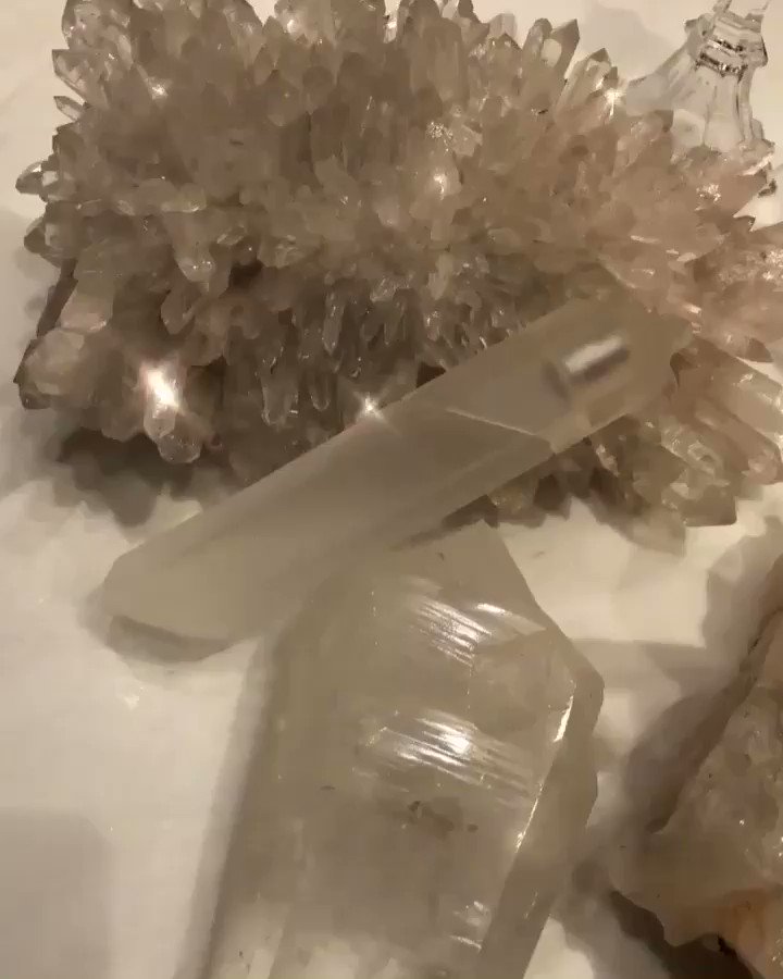 Crystal Gardenia available on https://t.co/eAGj098U38 https://t.co/2Kd798rabM