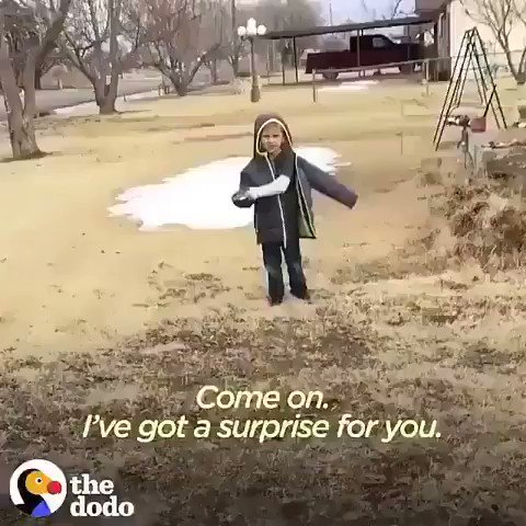 RT @Protect_Wldlife: Watch the reaction of this boy seeing his lost dog after a month of looking for him. ???? ❤ ???? https://t.co/lyDDa9lFfY