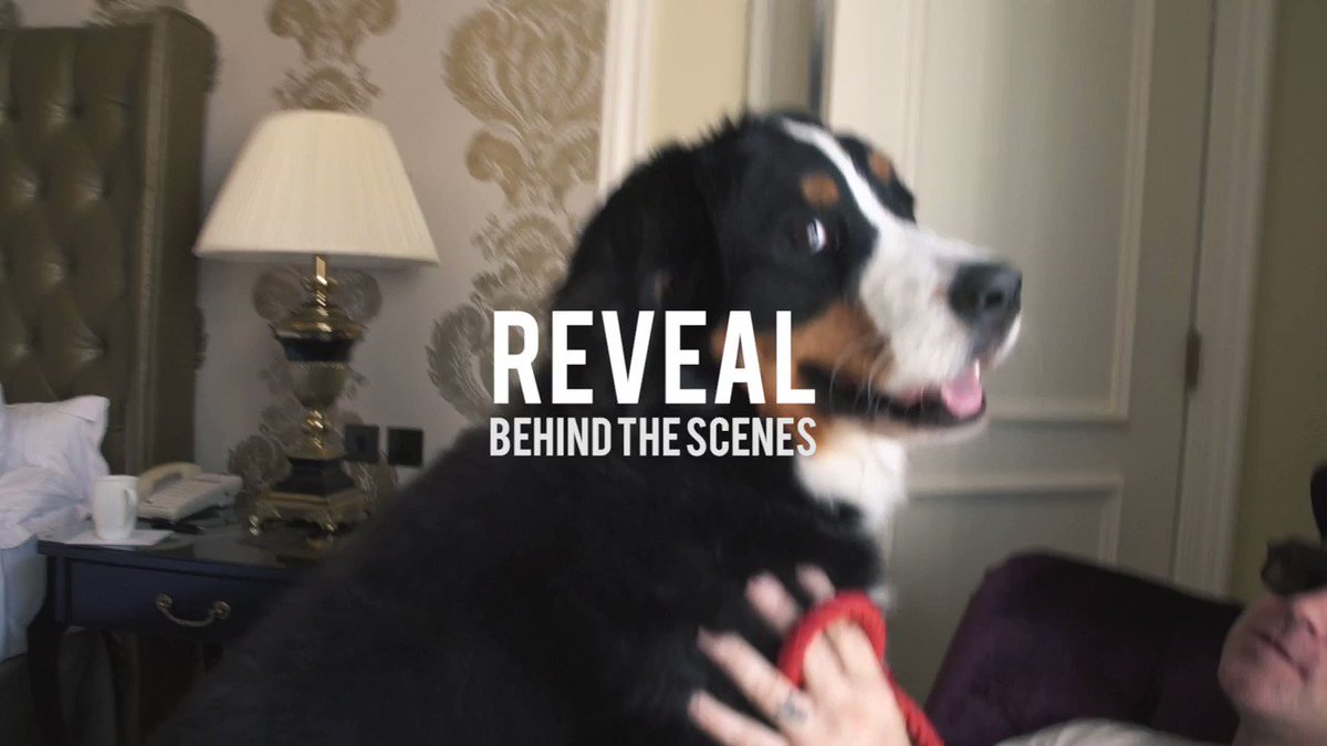 Behind the scenes on the cover shoot for #Reveal. My new biography is available here >> https://t.co/ahPRydBPOD https://t.co/J2flzhXF3Y