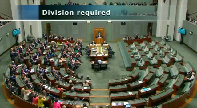 RT @political_alert: Here’s the moment the #MarriageEquality bill passed the Australian Parliament #auspol https://t.co/MUoBTgBIhk