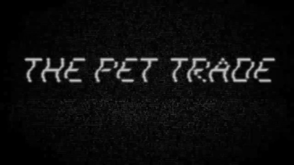 RT @peta: Ever see puppies, kittens, mice, or snakes in a pet store? THIS is where they come from ???? https://t.co/EGvdDcX8Dc