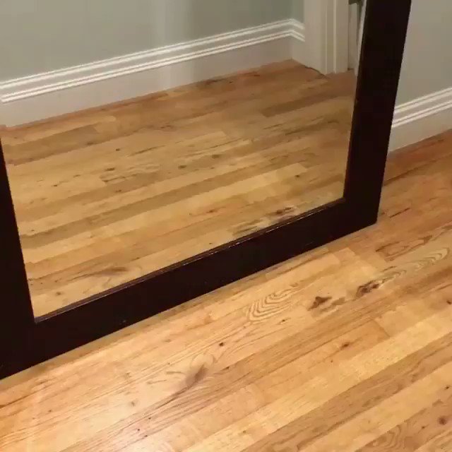 When you see yourself in the mirror first thing in the morning ???????????? (via Bosun the Frenchie) https://t.co/FW3Ez1Toki