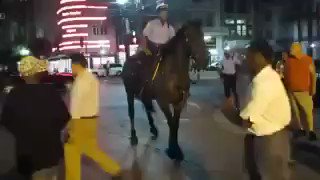 RT @D_Sims37: New Orleans culture soo strong the horse even second lining???????? https://t.co/6X6OLBJVYw