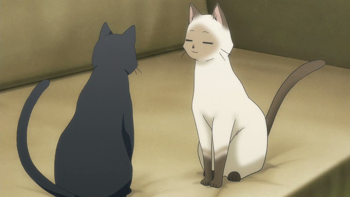 天衣と桂香さんが、猫共演していた件ふらいんぐうぃっち2016のケニーとチトで共演夜叉神天衣 cv佐倉綾音=茜の使い魔であ 天衣と桂香さんが、猫共演していた件ふらいんぐうぃっち2016のケニーとチトで共演夜叉神天衣 cv佐倉綾音=茜の使い魔であ