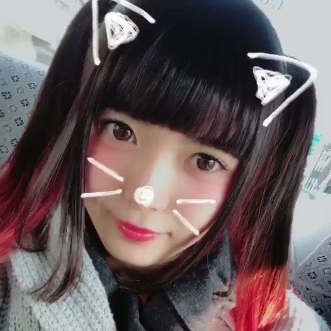 #にゃんにゃんにゃんの日 終わっちゃうっぽにゃー🕊🐈無事に名古屋大阪京都キャンペーン終えたっぽにゃ。ありがとうございまし #にゃんにゃんにゃんの日 終わっちゃうっぽにゃー🕊🐈無事に名古屋大阪京都キャンペーン終えたっぽにゃ。ありがとうございまし