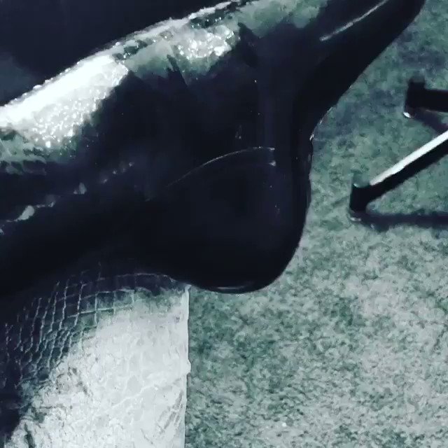 Film Noir ???????????? #stevenkleinstudio #film #art #latex #footmassage ???? https://t.co/H7QYO5pVOi