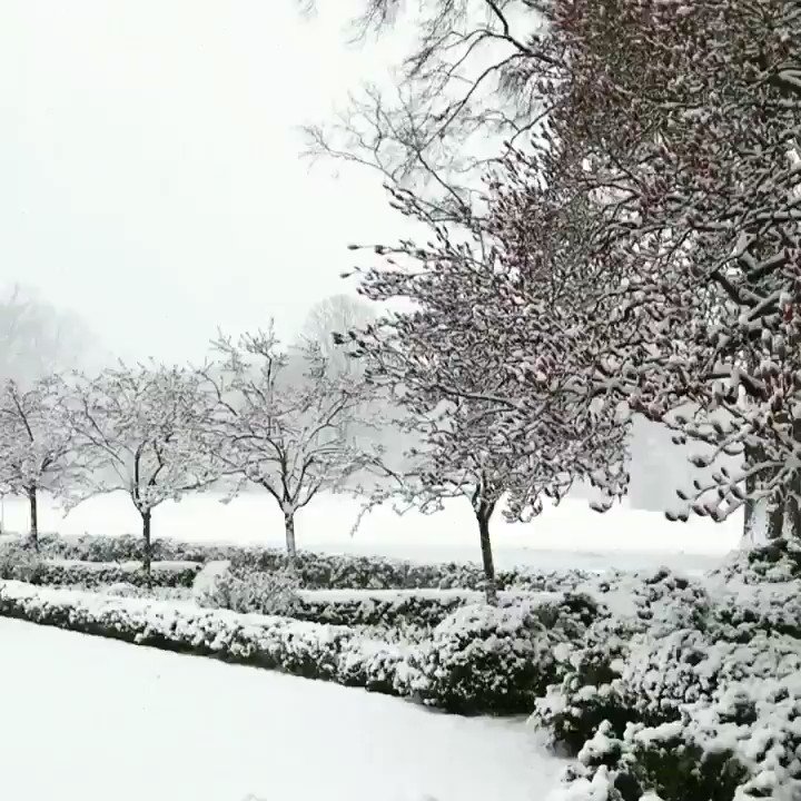 Substituting coffee for hot cocoa on this gorgeous #snowday in DC. https://t.co/jKrfj8P0Vm