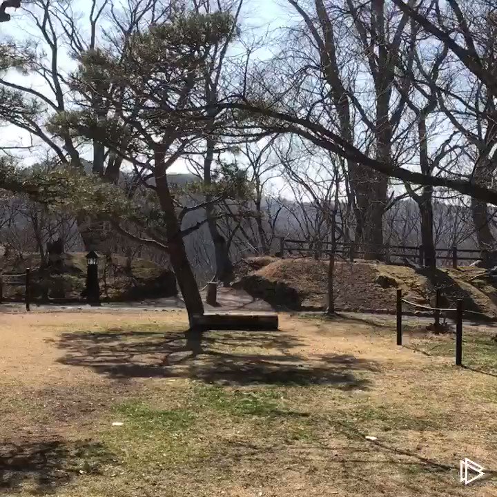 ※コス動画特上が忍者走りで駆け抜ける動画🏃♂️ゲンマ→アオバ→ハヤテの順です💨ゲンマ:とやち( )アオバ:ほけちん( ※コス動画特上が忍者走りで駆け抜ける動画🏃♂️ゲンマ→アオバ→ハヤテの順です💨ゲンマ:とやち( )アオバ:ほけちん(