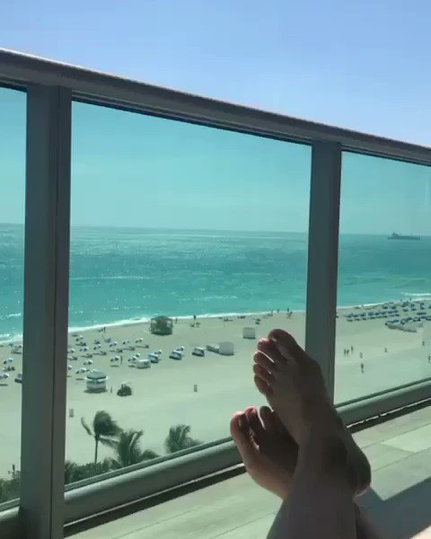 Miami Mornings ☀️???? https://t.co/2bDK5sIy14